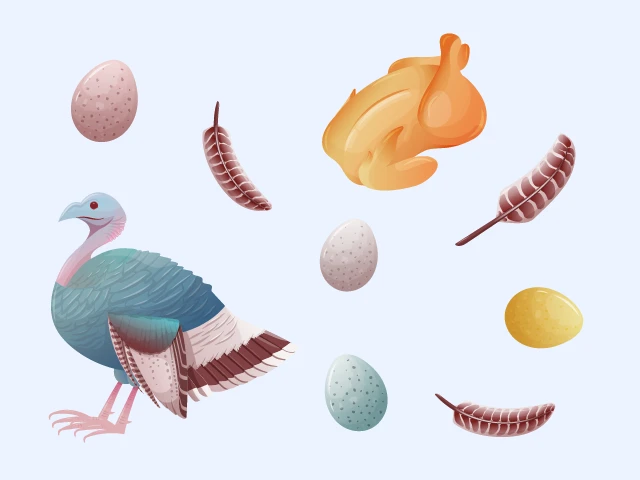 Egg or Chickenのイラスト
