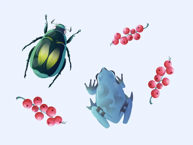 Living thingsのイラスト