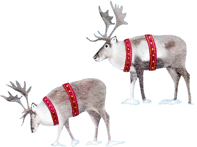 Reindeersのイラスト